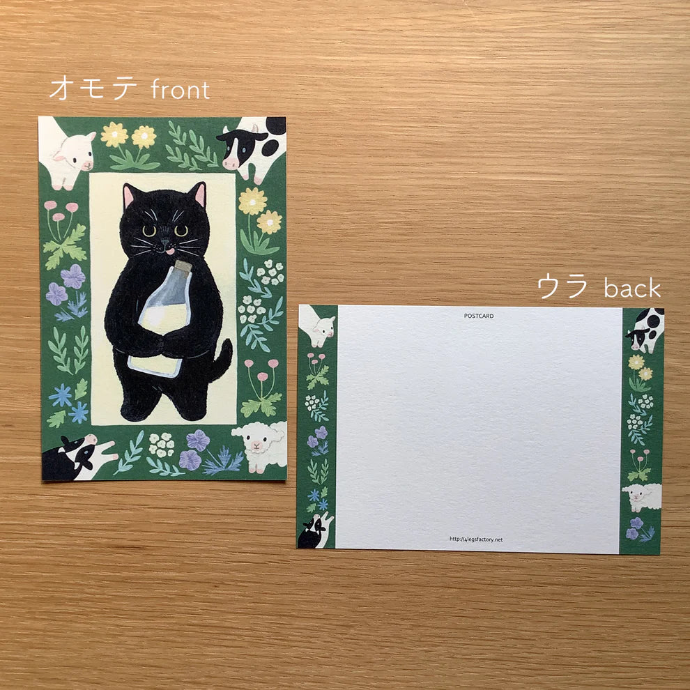 Black Cat with Milk | Postcard