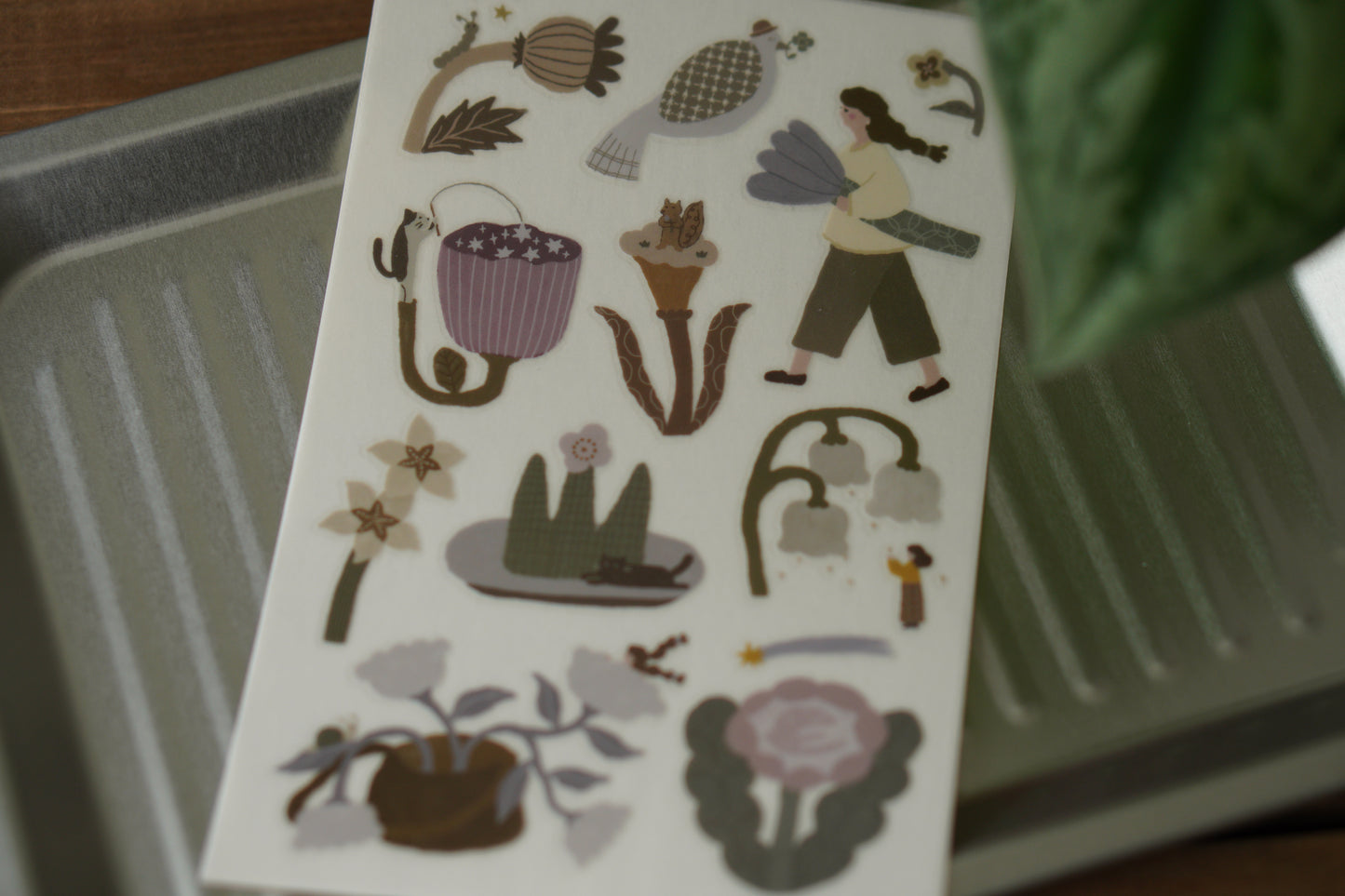 Ivy Snow - Pastoral Poetry | Transfer Sticker