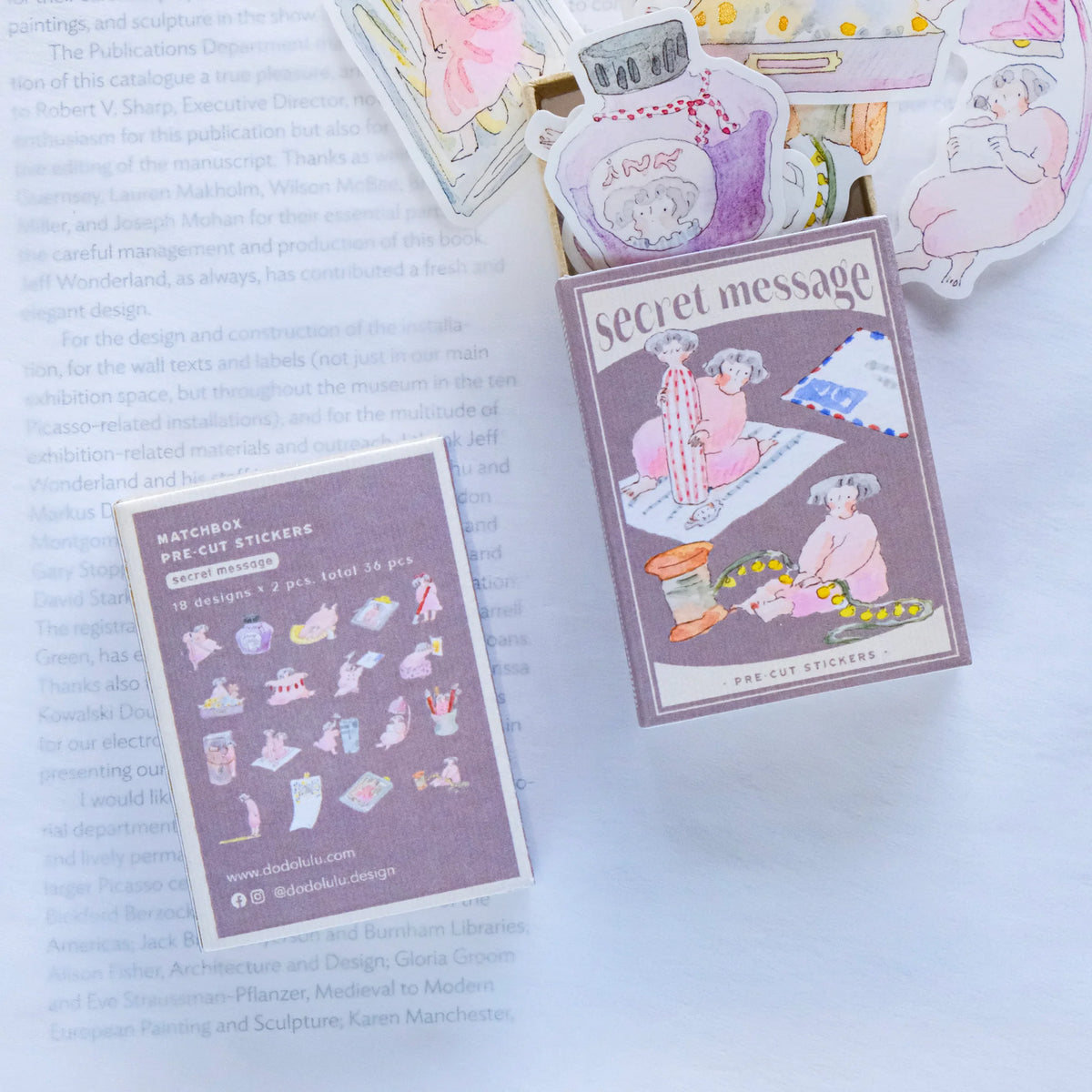 (NEW) Dodolulu - Secret Message | Matchbox Flake Stickers