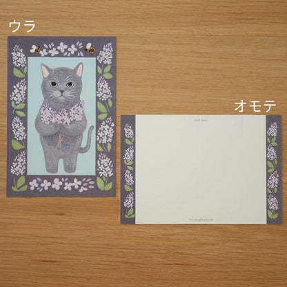 Russian Blue Cat | Postcard