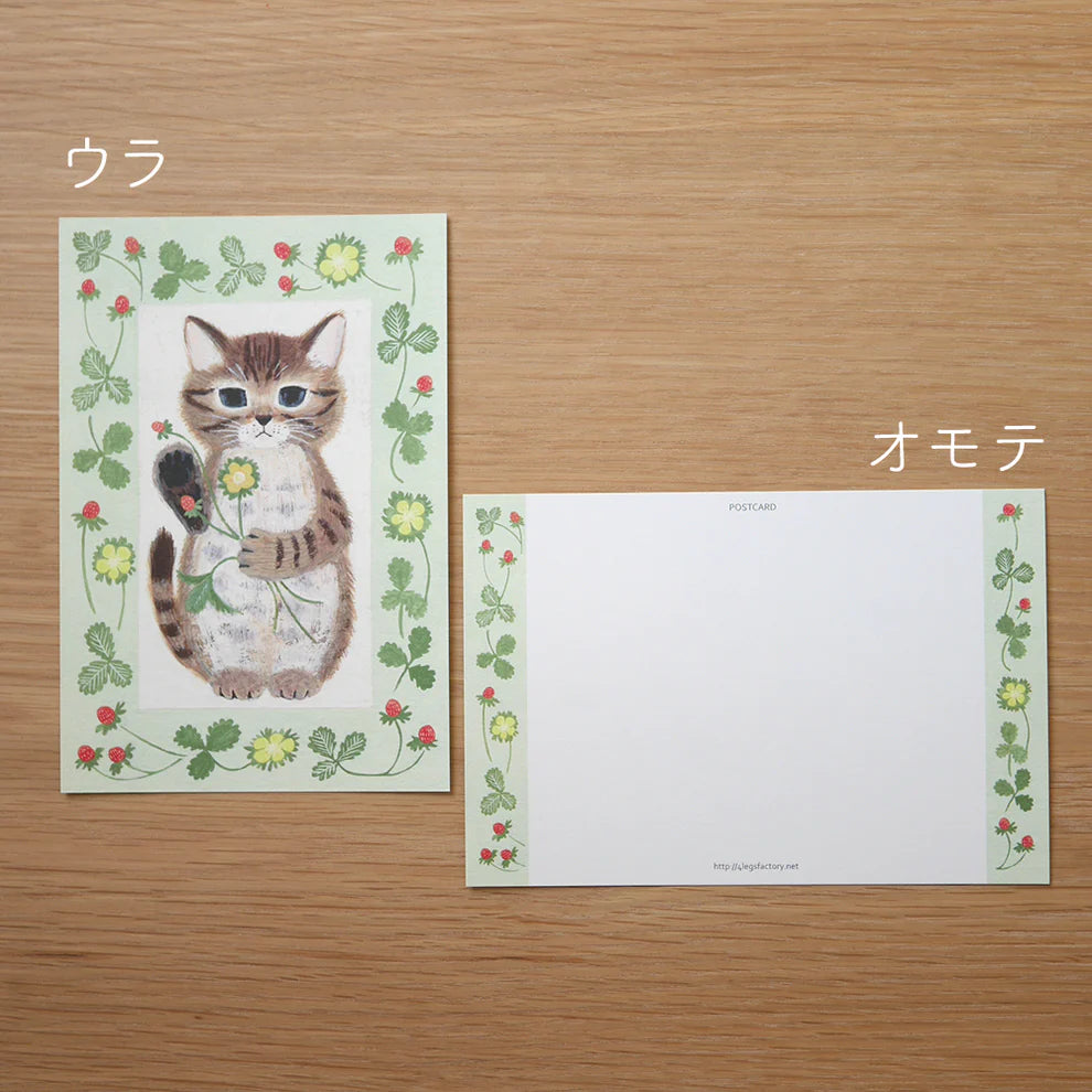 Tabby Cat and Flowers | Postcard