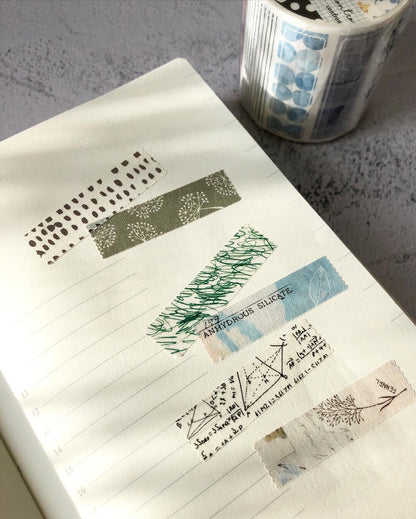 (NEW) Pion - Paragraph | Kiss Cut 5cm Washi Tape