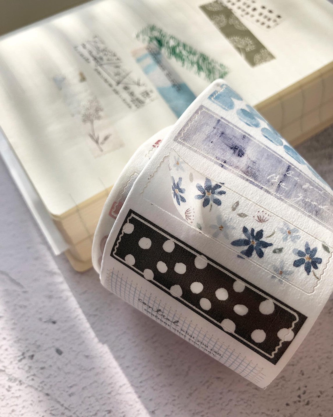 (NEW) Pion - Paragraph | Kiss Cut 5cm Washi Tape